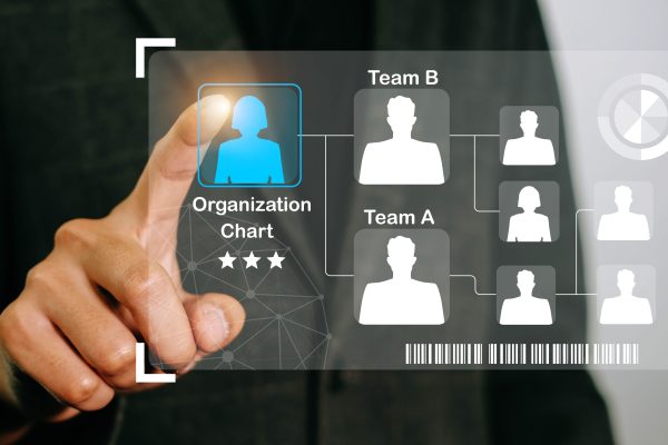 Crisis Management Team Organization Chart